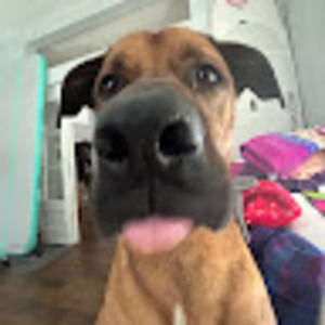 Meet your Posher, Riley